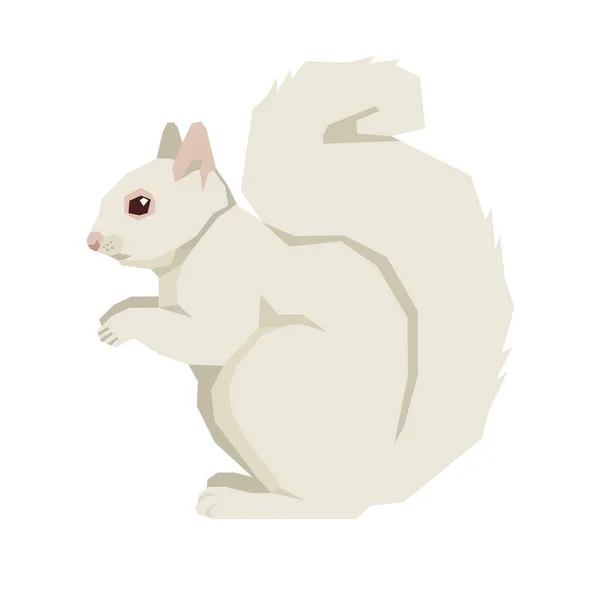 Wild animals Vector illustration of a white squirrel Isolated object Geometric style — Stock Vector