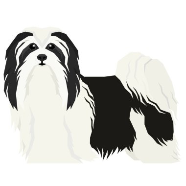 Vektör illüstrasyon köpek koleksiyonu havanese Dog geometrik stil yalıtılmış nesne