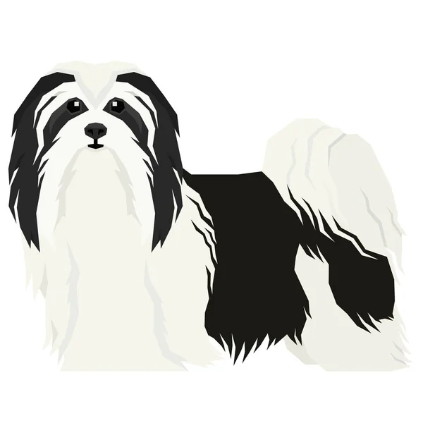 Illustration vectorielle Collection chien Bichon Havanais Style géométrique Objet isolé — Image vectorielle