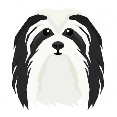 Köpeğin başının vektör illüstrasyon Havanese Köpek İzole nesne