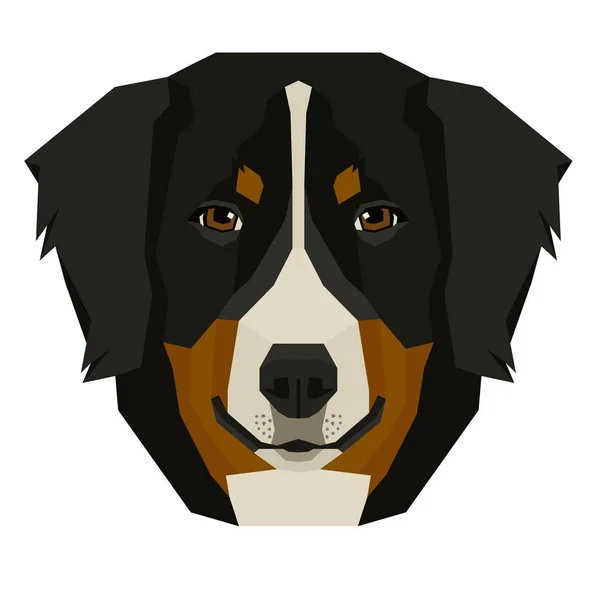 Ilustración vectorial de la cabeza del perro Bernese Mountain Dog Objeto aislado — Vector de stock