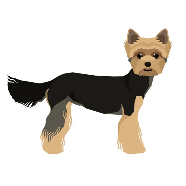 Illustrazione vettoriale Collezione di cani Yorkshire terrier Stile geometrico Oggetto isolato — Vettoriale Stock