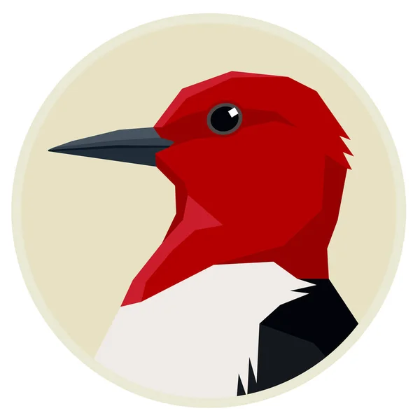 Pájaro carpintero pelirrojo Colección Aves Ilustración vectorial Marco redondo — Vector de stock