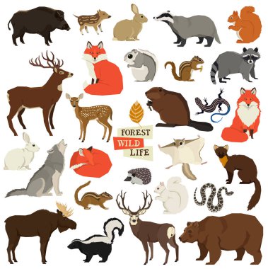 Vector illustrations of the wild animals Forest wildlife Isolated objects Geometric style clipart