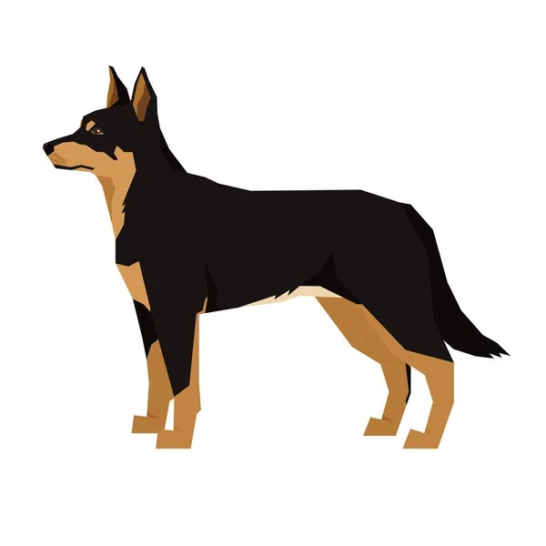 Vektor Illustration Hund Sammlung schwarz-rot australischen Kelpie geometrischen Stil isoliert Objekt — Stockvektor