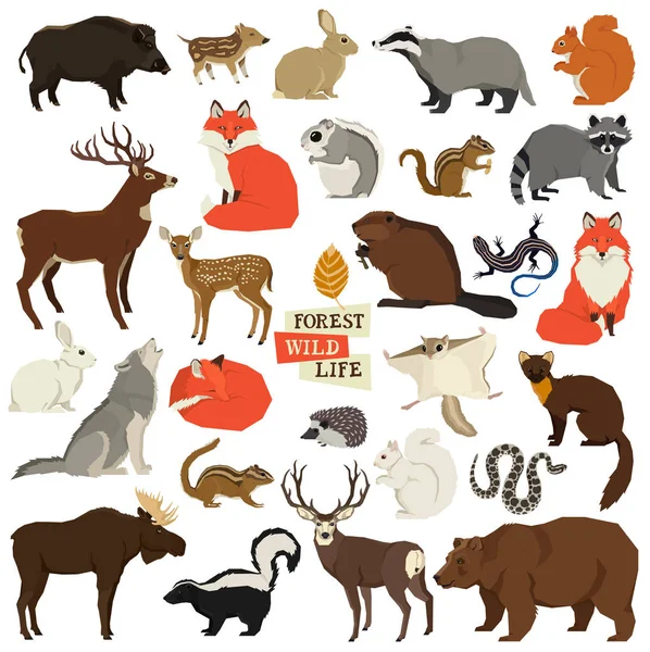 Ilustraciones vectoriales de los animales salvajes Vida silvestre del bosque Objetos aislados Estilo geométrico — Vector de stock