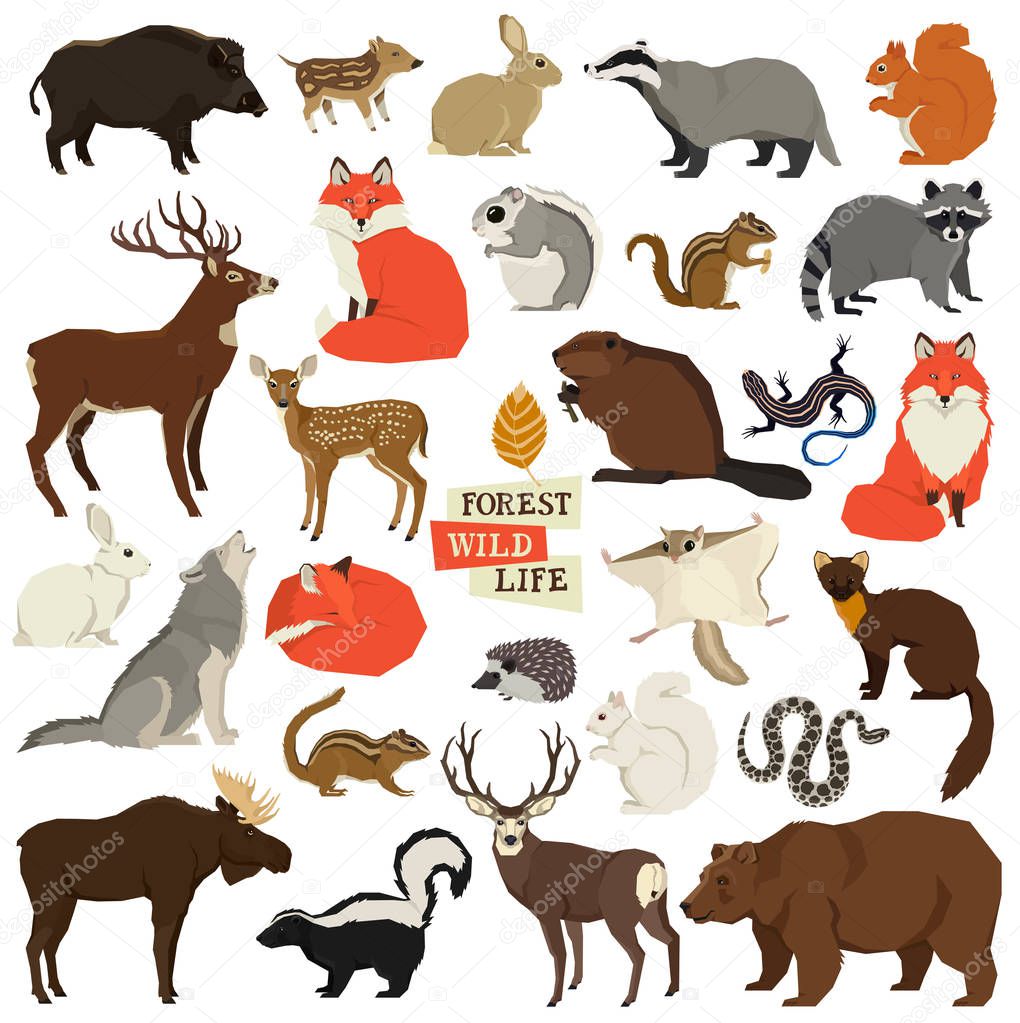 Vector illustrations of the wild animals Forest wildlife Isolated objects Geometric style set