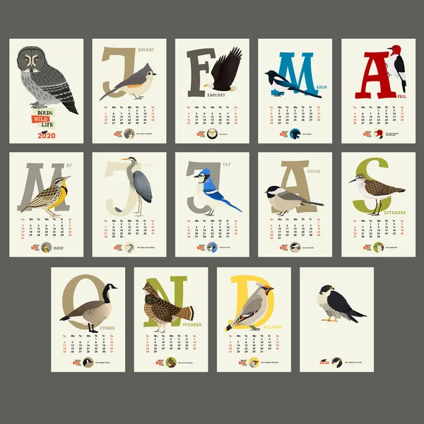 De kalender 2020 de vogels wilde leven — Stockvector