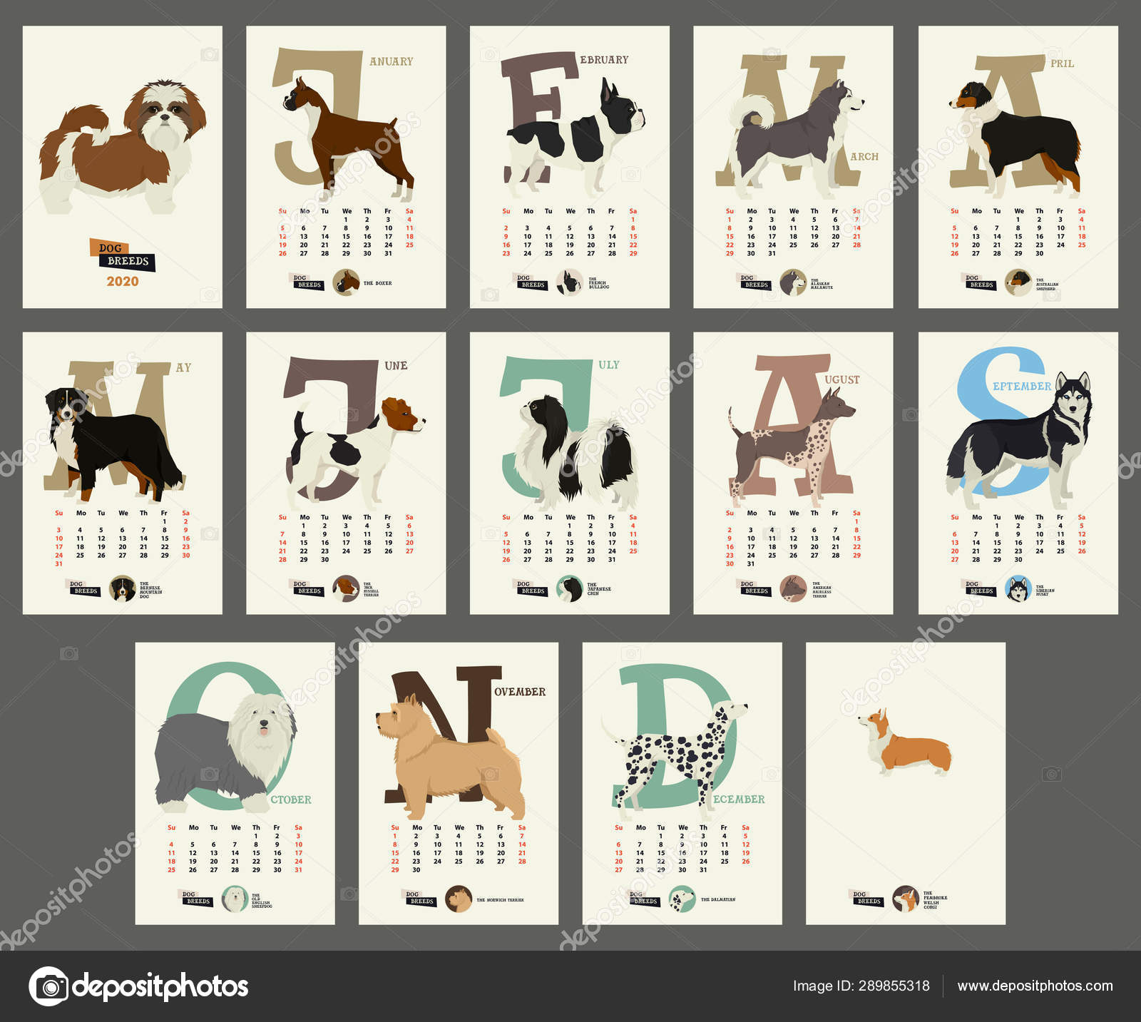 The calendar 2020 Dog breeds — Stock Vector © Nenilkime #289855318