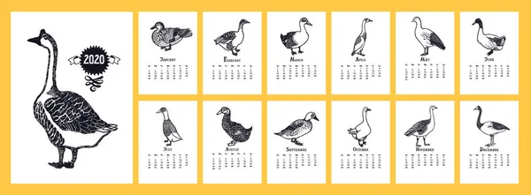 The calendar 2020 Ducks and geese — Stock Vector