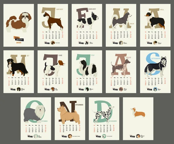 Il calendario 2020 Razze di cane — Vettoriale Stock