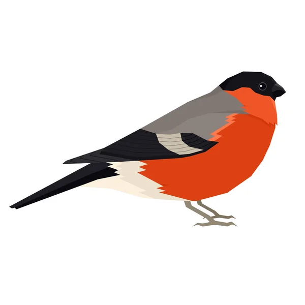 Eurásia bullfinch bird Ilustração vetorial Objeto isolado —  Vetores de Stock