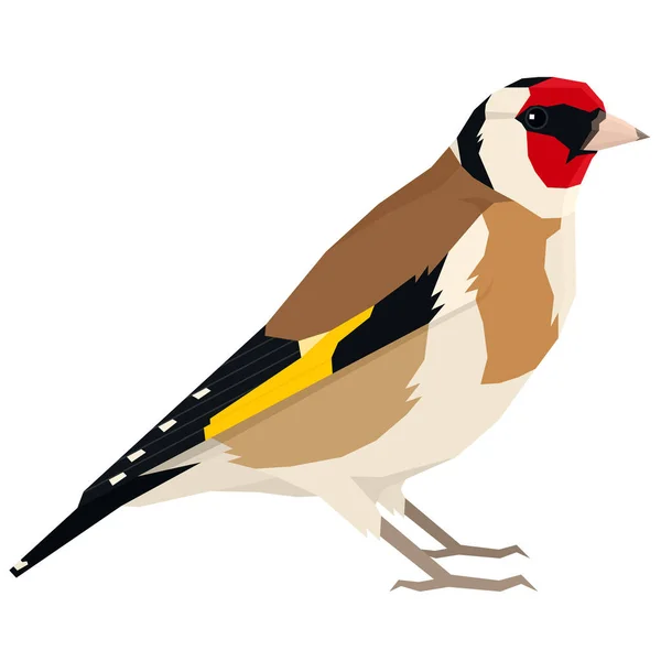 Europejski ptak Goldfinch ilustracja wektorowa obiekt na białym tle — Wektor stockowy