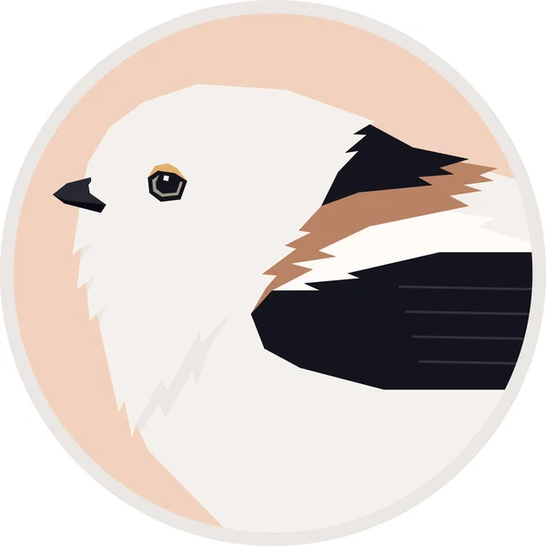 Colección de aves A Shima Enaga Vector ilustración de cola larga — Vector de stock