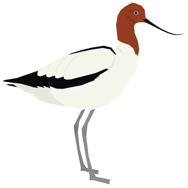 Kolekcja ptaków Czerwony szyja awokado Wektor ilustracja Izolacja — Wektor stockowy
