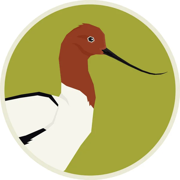 Coleção de pássaros Avocet de pescoço vermelho Ilustração do vetor Fra redondo —  Vetores de Stock