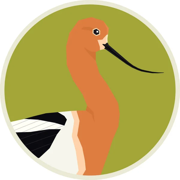 Συλλογή πουλιών American avocet Vector illustration Στρογγυλό πλαίσιο — Διανυσματικό Αρχείο