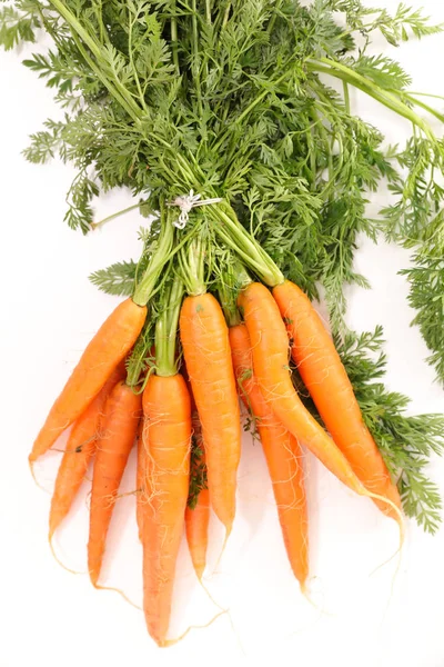 Fresh Carrots Green Leaves — Stock Photo, Image