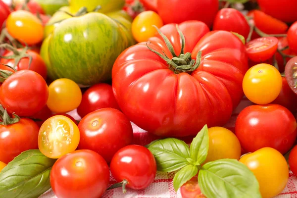 Sortiment Bunter Tomaten — Stockfoto