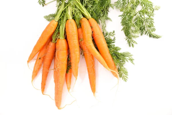 Carrot Leaves Close Shot — Stock Photo, Image