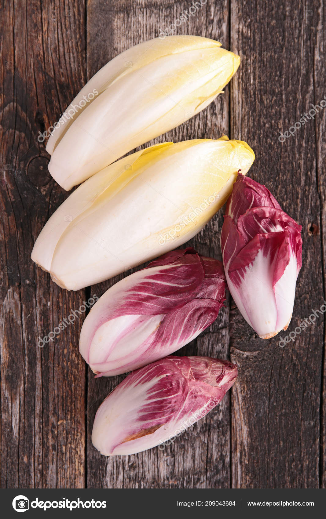 Chicory Wood Background Stock Photo by ©studioM 209043684