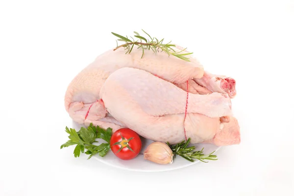 Kyckling Vit Bakgrund — Stockfoto