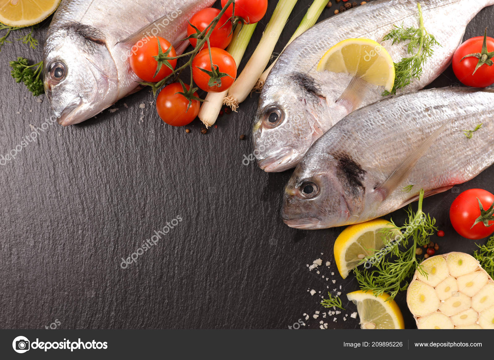 魚写真素材 ロイヤリティフリー魚画像 Depositphotos