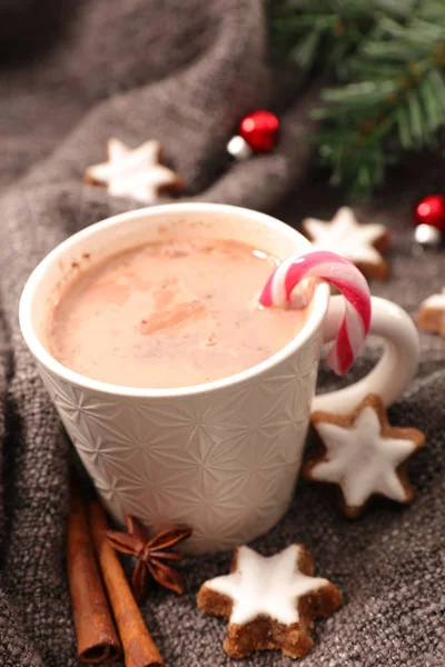 Kış çikolatalı süt şeker kamışı ve Çerezler ile