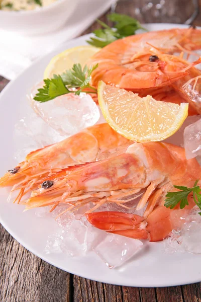 Close View Food Composition Shrimps Ice Cube — Stock Photo, Image