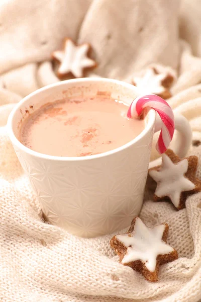 Hot Milk Cocoa — Stock Photo, Image