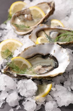 limon dilimleri ve dereotu ile istiridye