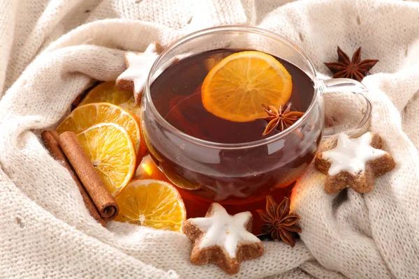 Winter Drink Hot Tea — Stock Photo, Image