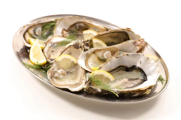 Oysters Lemon Slices Dill Isolated — Stock Photo, Image