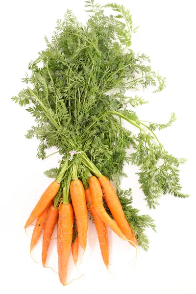 Close View Carrots Leaves Isolated White — Stock Photo, Image