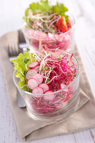 Salada Vegetariana Com Rabanete Servido Copos Vidro — Fotografia de Stock