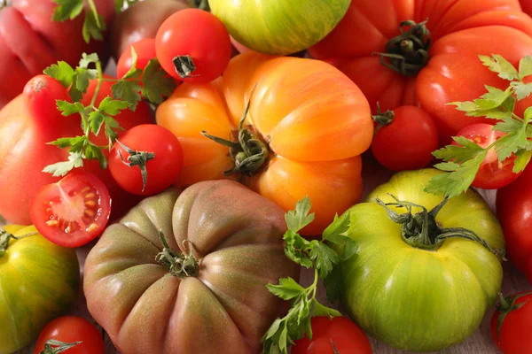 Bunter Haufen Tomaten — Stockfoto