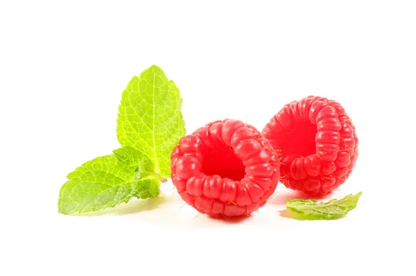 Raspberry Mint Isolated White Background — Stock Photo, Image