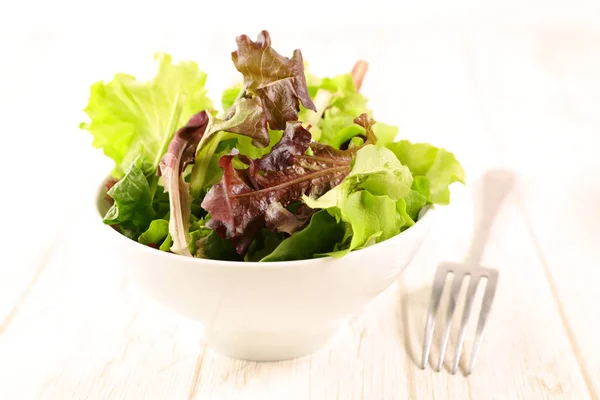 Tazón Lechuga Plato — Foto de Stock