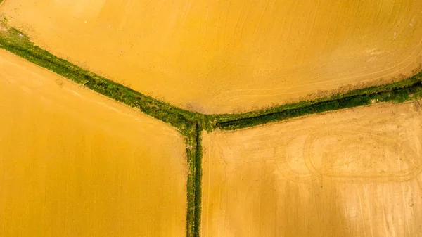 Aerial View Field — Stock Photo, Image