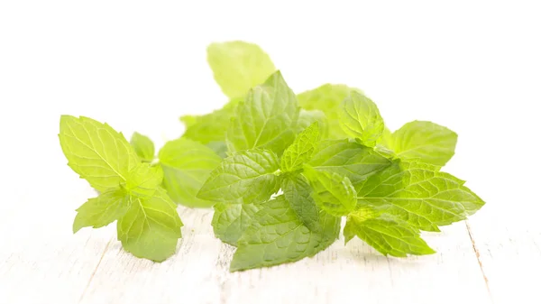 Green Mint Leaf Studio Shot — Stock Photo, Image