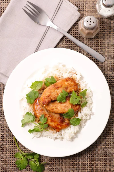 chicken fillet with sauce, coriander and rice