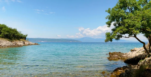 Hermoso Paisaje Croacia Mar Turquesa Árbol — Foto de Stock