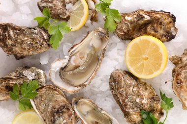 limon ve buz küpü ile istiridye