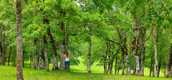 Foresta Verde Meditazione Donna Con Albero — Foto Stock