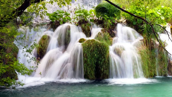 Красивый Водопад Зеленый Лес — стоковое фото