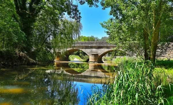 Aveyron France Beautiful Bridge River Green Tree — Stock Photo, Image