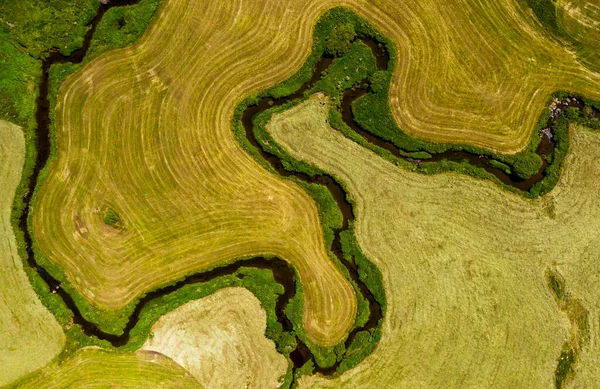 Abstracte Achtergrond Grond Uitzicht Spectaculaire Rivierstromen Groene Weide — Stockfoto