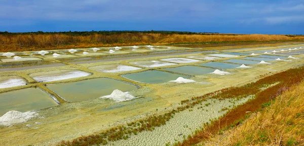 Pantano Sal Francia Ile Oleron —  Fotos de Stock