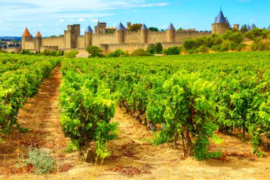 Fransa 'da Carcassone Kalesi