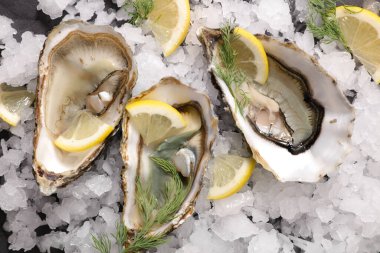 Limonlu istiridye ve buz.